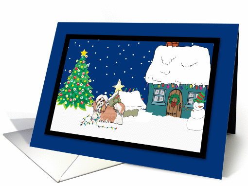 Christmas Lights Shihtzu Christmas card (252030)