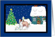 Christmas Lights St Bernard Christmas Card