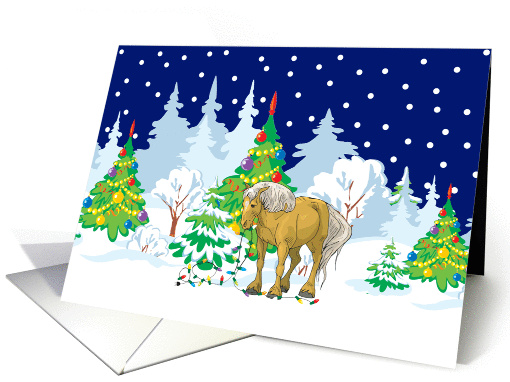 Christmas Lights Belgian Christmas card (253076)