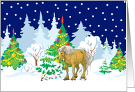 Christmas Lights Belgian Christmas Card