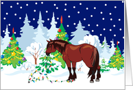 Christmas Lights Clydesdale Christmas Card