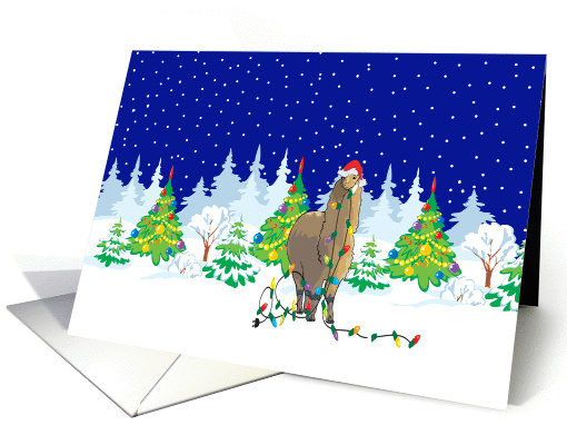 Christmas Lights Alpaca Christmas card (256059)
