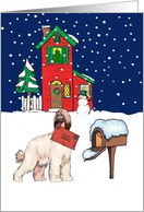 From A Pet Afghan Hound Christmas Card
