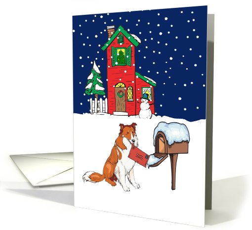 From Pet Collie Christmas card (514258)