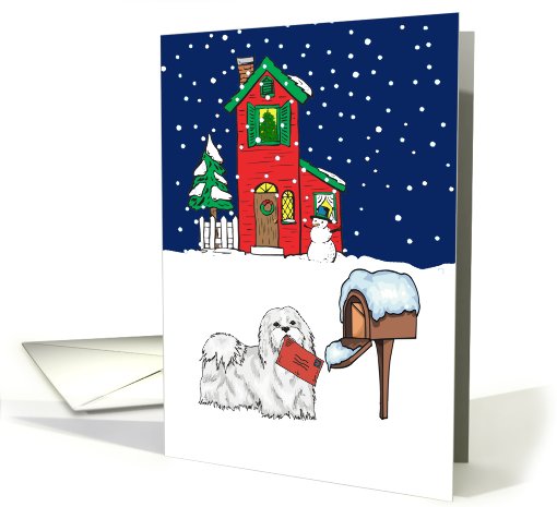 From Pet Maltese Christmas card (514474)