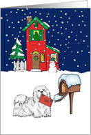 From Pet Maltese Christmas Card