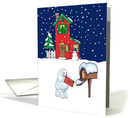 From Pet Poodle Christmas card (514478)