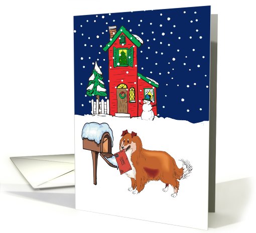 From Pet Sheltie Christmas card (514482)