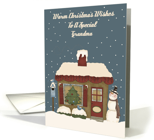 Warm Christmas Wishes To A Special Grandma card (965895)