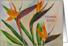 Bird of Paradise - Thank You card