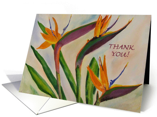 Bird of Paradise - Thank You card (119139)