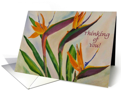 Bird of Paradise - Thinking of You card (119143)