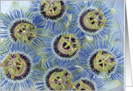 Dance of the Passion Flowers - Any Occasion card