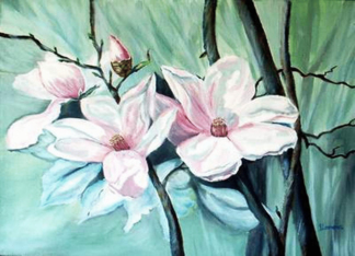 Magnolias