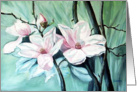 Magnolias card