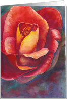 Red Rose card