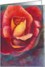 Red Rose card