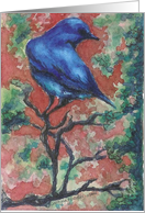 Blue bird card