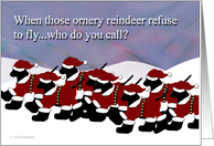Labs in Santa Suits card