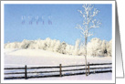 Snow Peace card