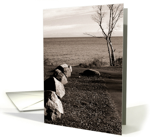 Rocks and Tree card (119337)