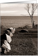 Rocks and Tree card