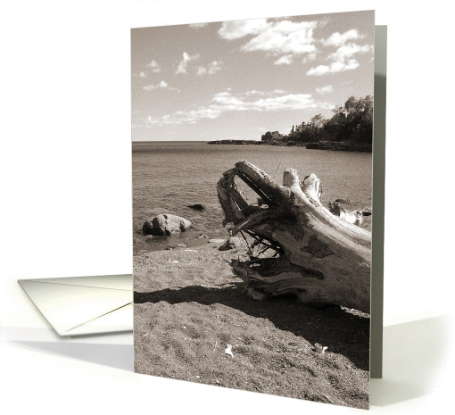 Driftwood card (119339)