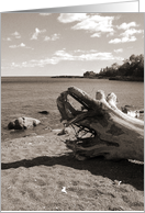 Driftwood card