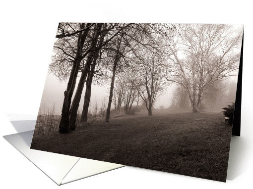 Trees in Fog card (119351)
