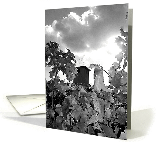 Vineyard Weathervane card (119361)