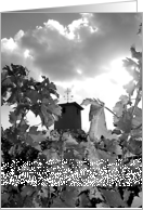 Vineyard Weathervane card
