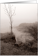Foggy Inlet card