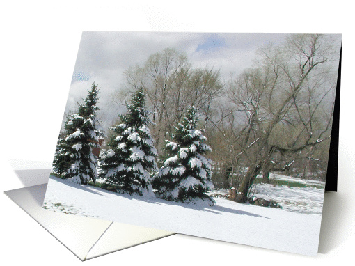Winter Trees card (119379)