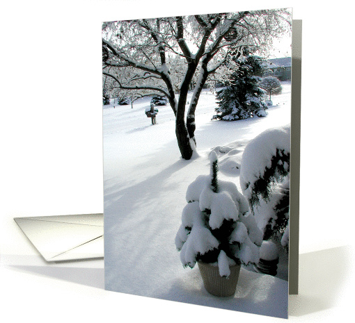 Snow Covered Trees card (119383)