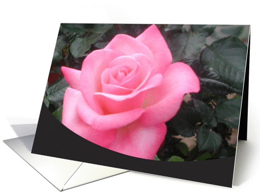 Pink Rose card (120100)