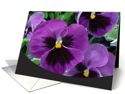Purple Pansies card (120106)