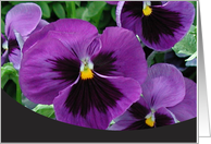 Purple Pansies card