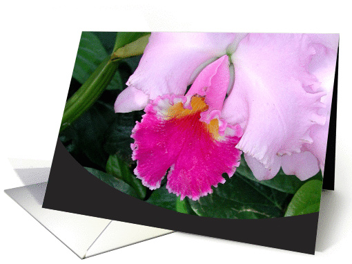 Pink Orchid card (120110)