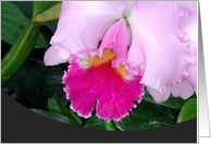 Pink Orchid card