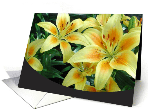 Yellow Lilies card (120120)