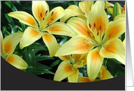 Yellow Lilies card