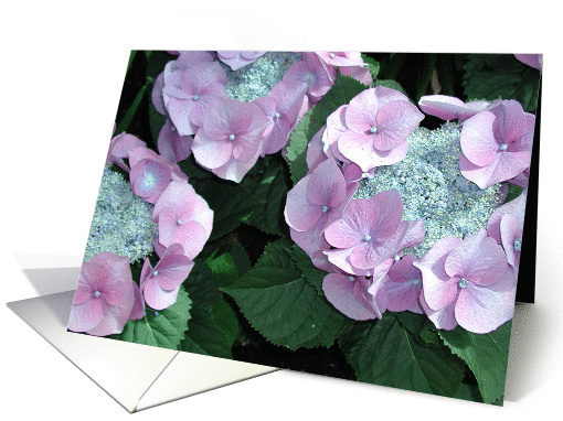 Blue Hydrangea card (120138)