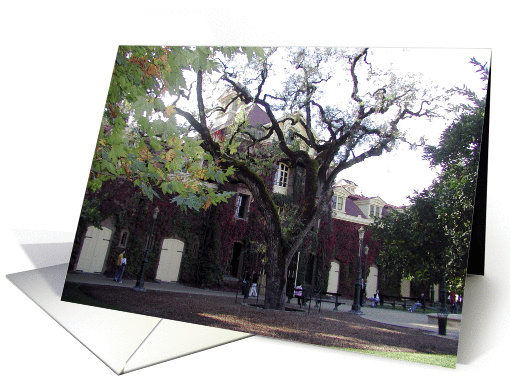 Winery II card (120260)