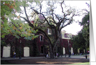 Winery II card