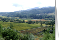 Winery IV card