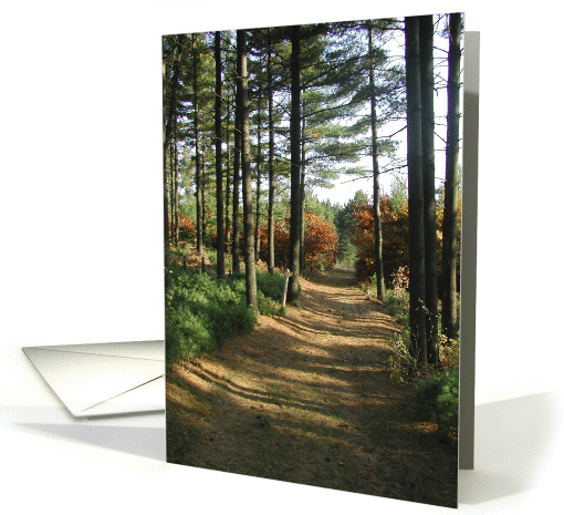 Autumn Path card (120292)