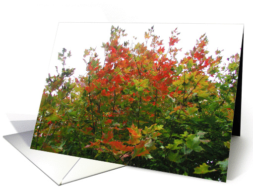 Autumn Leaves card (120304)
