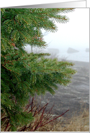 Fog III card