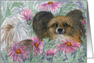 Papillon butterfly dog hiding in the daisies card