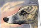 Brindle greyhound whippet dog Card